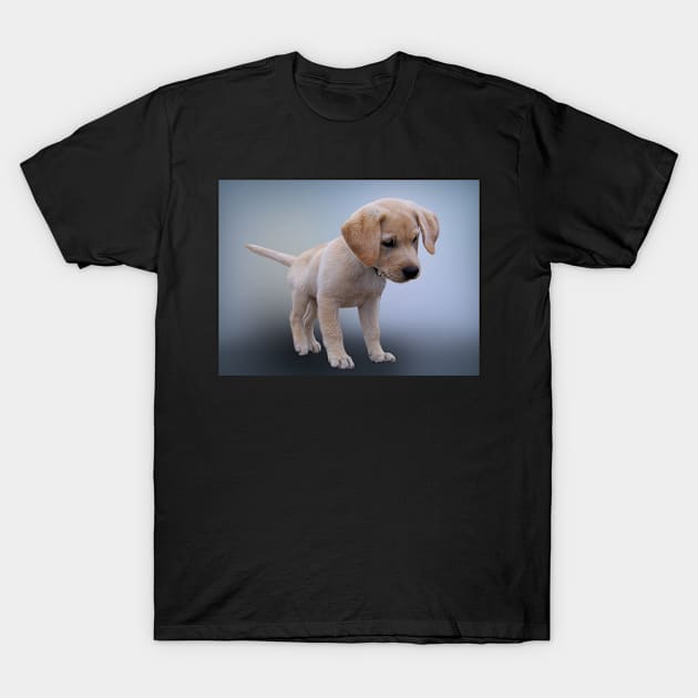 Puppy T-Shirt by kawaii_shop